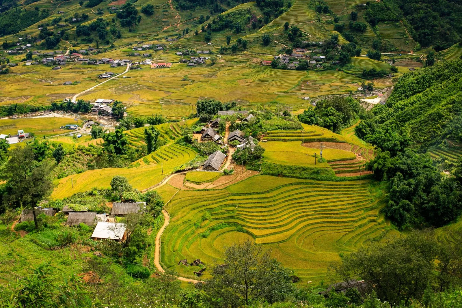 Terraced rice fields curve across a green valley dotted with village houses near Sapa. Terraced rice fields curve across a green valley dotted with village houses near Sapa.