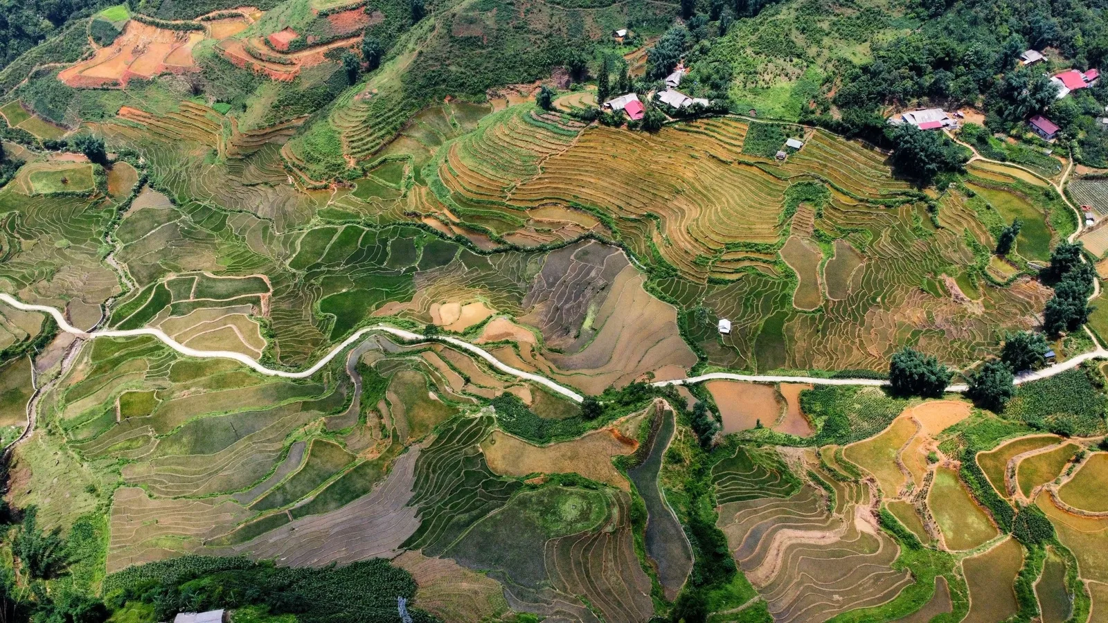 Aerial view of terraced rice fields winding along a road through a mountain valley in Sapa. Aerial view of terraced rice fields winding along a road through a mountain valley in Sapa.