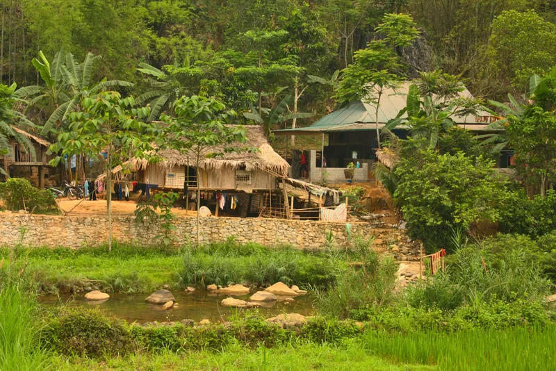 Stilt houses with thatched roofs sit among banana trees and rice fields in Pu Luong village. Stilt houses with thatched roofs sit among banana trees and rice fields in Pu Luong village.