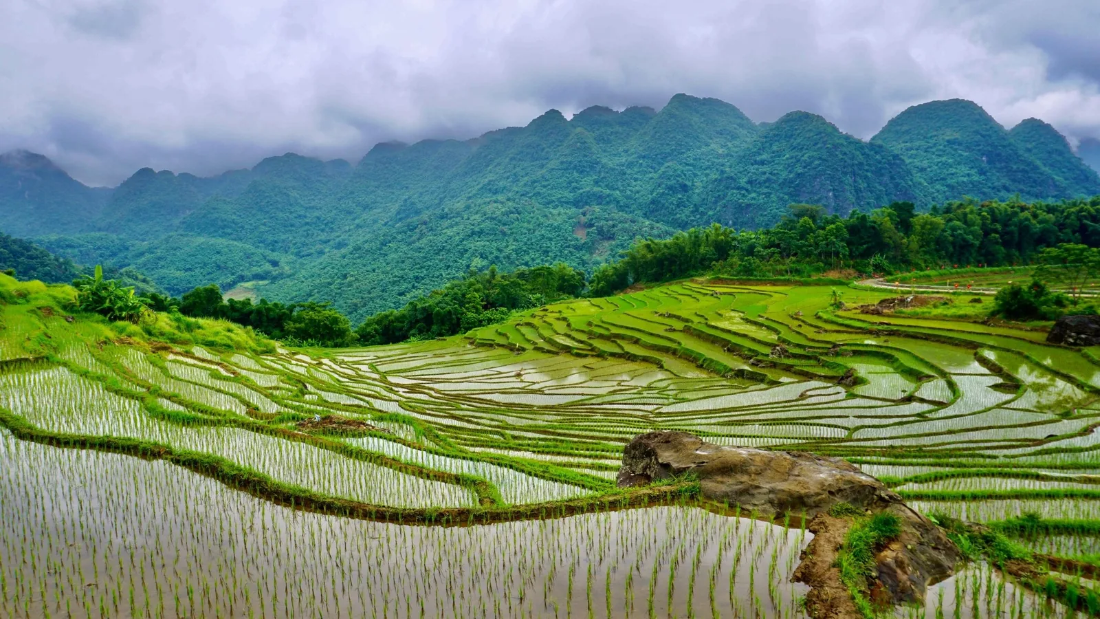 Water-filled terraced rice fields stretch beneath misty limestone mountains in Pu Luong. Water-filled terraced rice fields stretch beneath misty limestone mountains in Pu Luong.