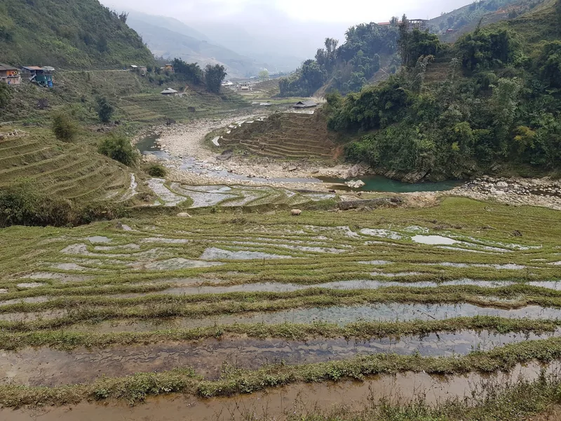 Water-filled rice terraces line a rocky river valley near Sapa, with mountains rising in the misty background. Water-filled rice terraces line a rocky river valley near Sapa, with mountains rising in the misty background.