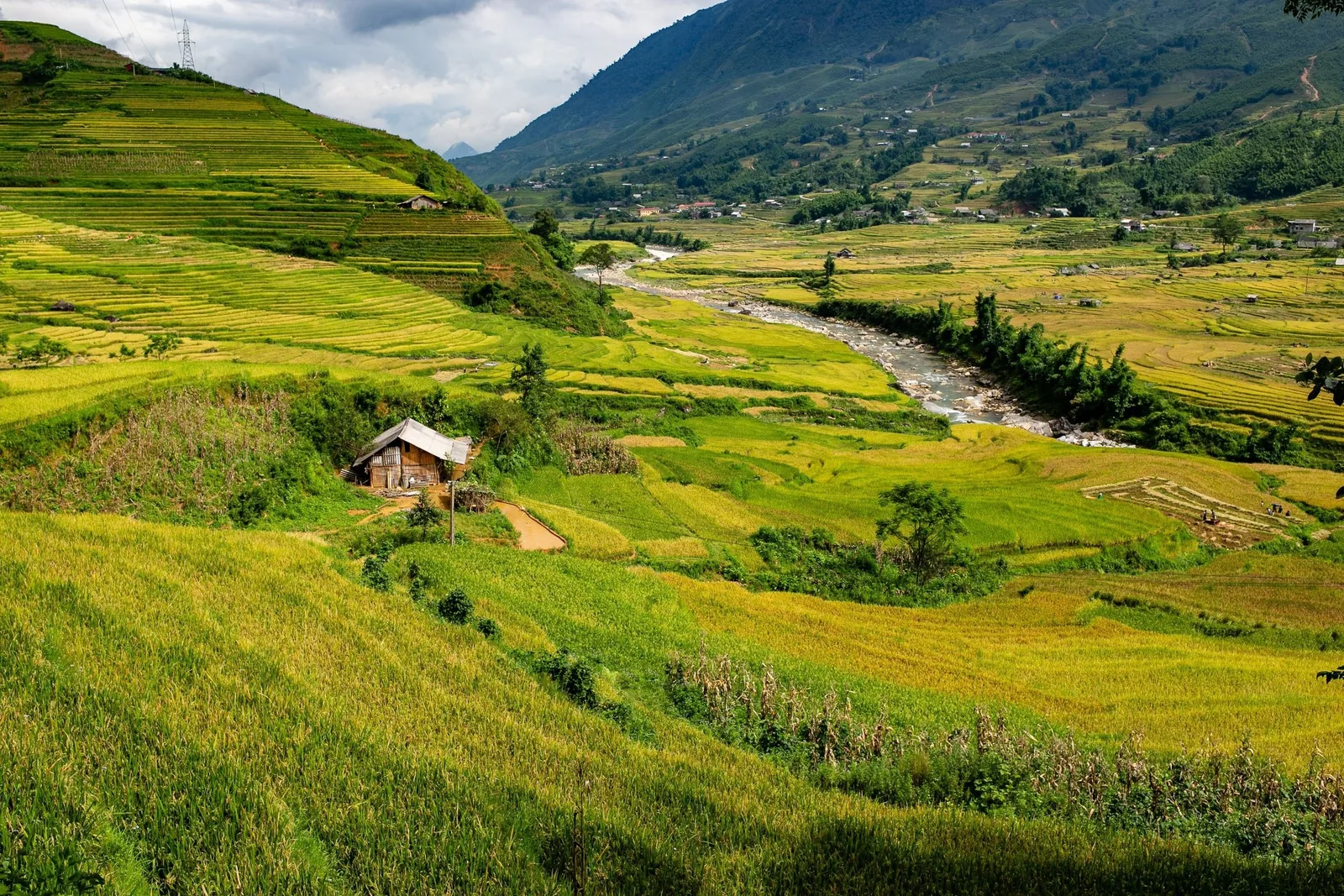 Terraced rice fields and a wooden hut line a river valley near Sapa in Lao Cai province. Terraced rice fields and a wooden hut line a river valley near Sapa in Lao Cai province.
