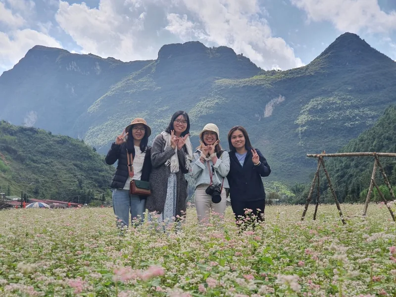 Four friends pose in a buckwheat flower field with limestone mountains rising behind them in Ha Giang. Four friends pose in a buckwheat flower field with limestone mountains rising behind them in Ha Giang.