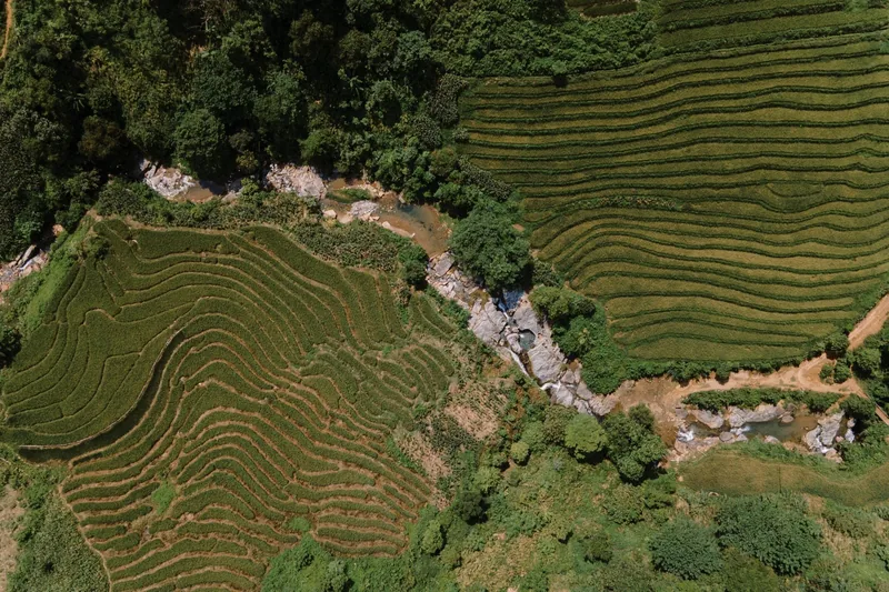 Aerial view of terraced rice fields split by a rocky stream near Sapa, Vietnam. Aerial view of terraced rice fields split by a rocky stream near Sapa, Vietnam.