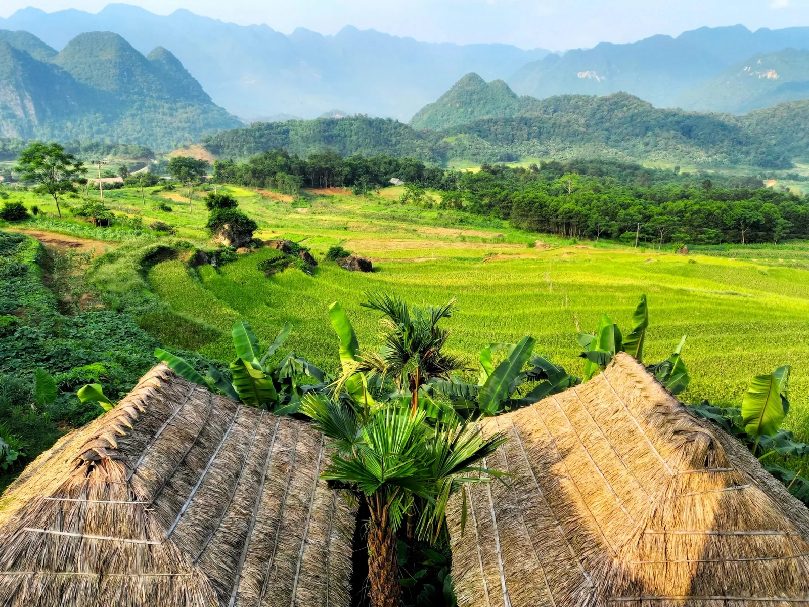 Thatched roof huts overlook lush green rice terraces surrounded by limestone mountains in Pu Luong, Vietnam. Thatched roof huts overlook lush green rice terraces surrounded by limestone mountains in Pu Luong, Vietnam.