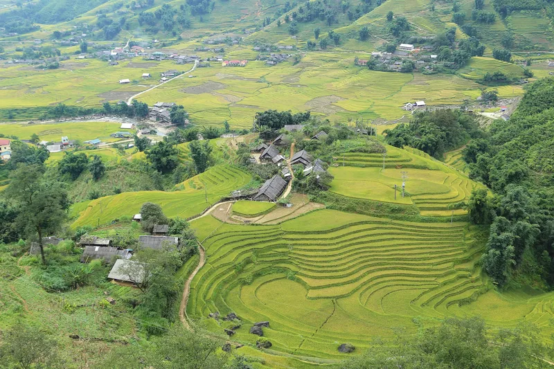 Terraced rice fields spiral around a small village in the mountain valleys near Sapa, Lao Cai.