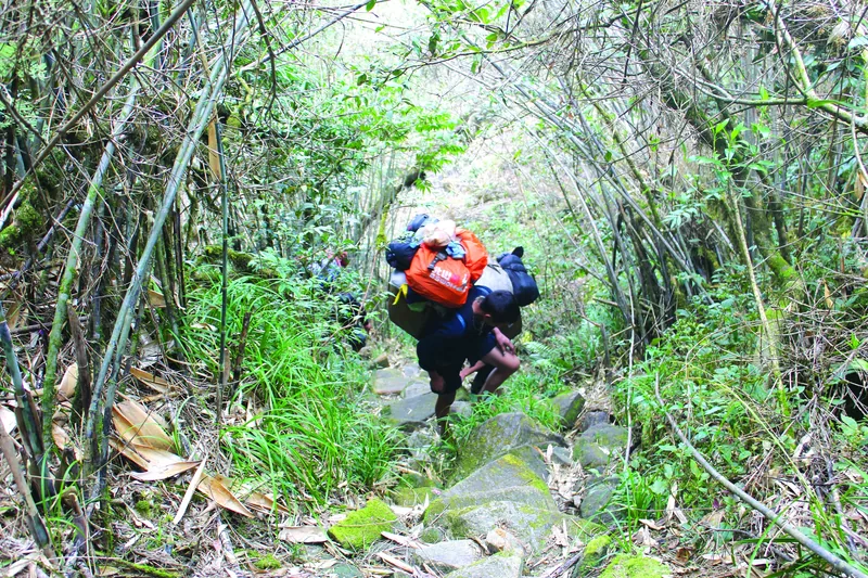A porter carries heavy backpacks up a rocky forest trail near Y Ty in Sapa, Lao Cai. A porter carries heavy backpacks up a rocky forest trail near Y Ty in Sapa, Lao Cai.